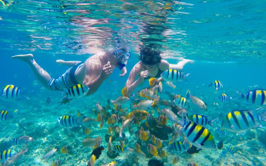 tips snorkeling untuk pemula