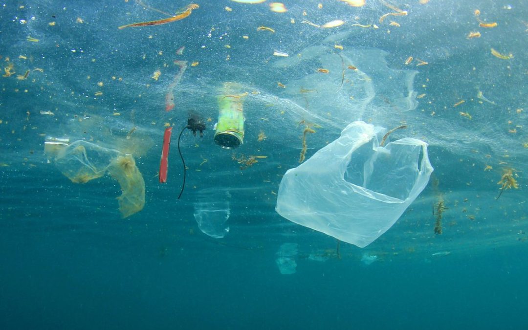 Bahaya Limbah Kimia Di Laut Bagi Ekosistem Pesisir