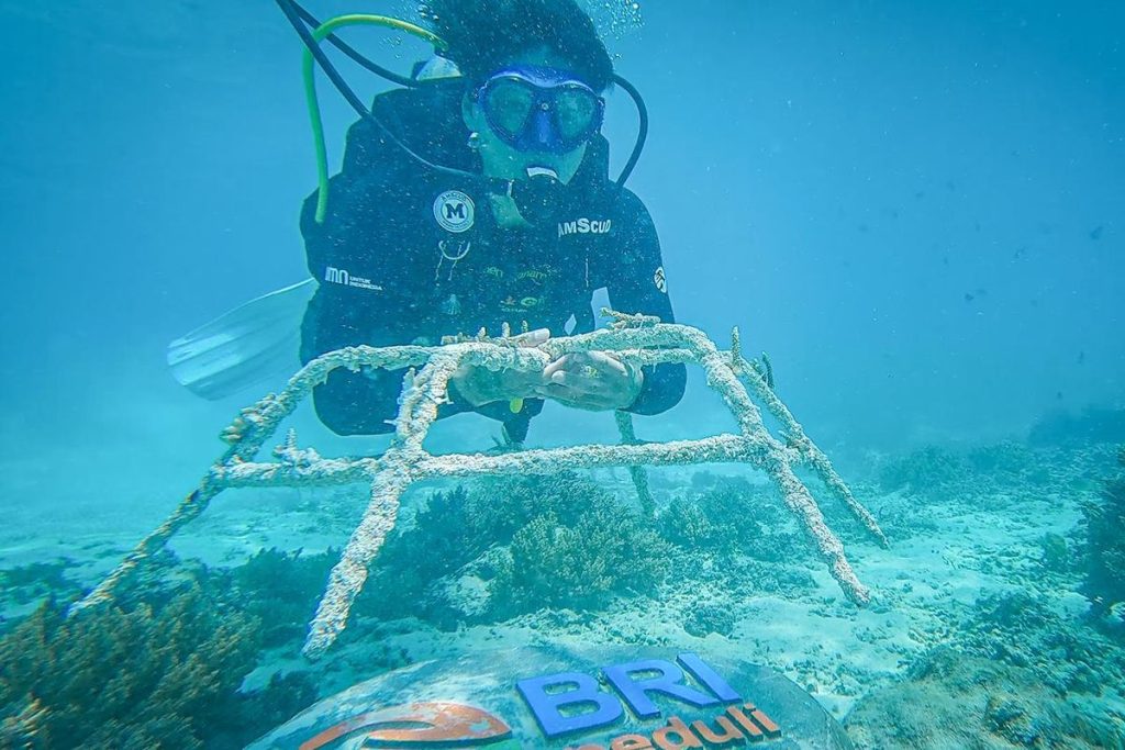 Pemulihan Ekosistem dan Keanekaragaman Hayati Laut