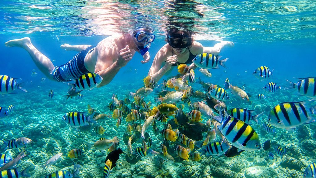 pasangan snorkeling bareng dikelilingi ikan warna-warni