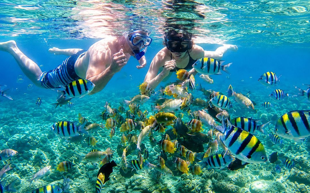etika saat snorkeling