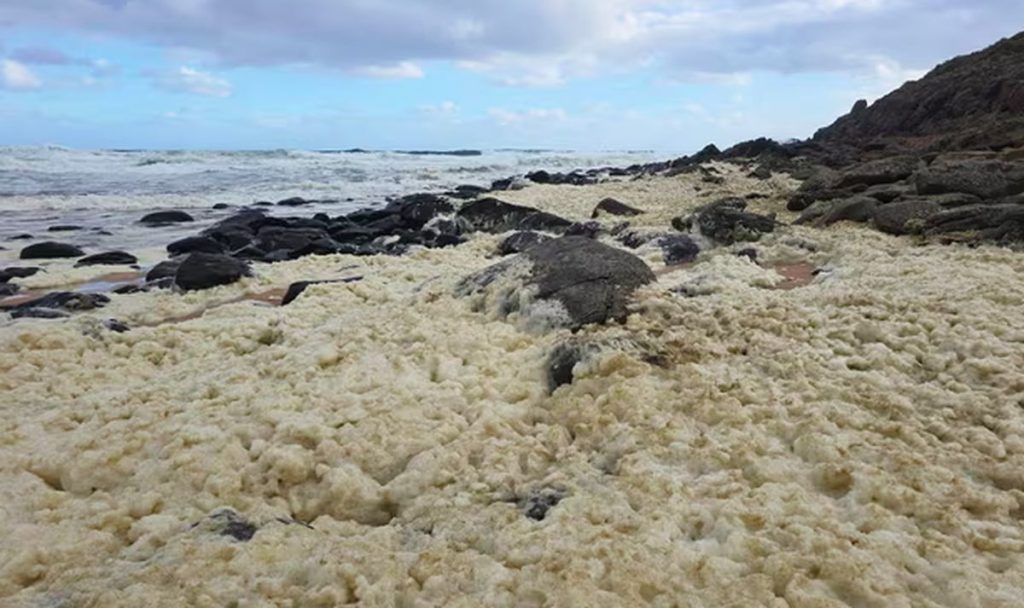 penyebab air laut berbusa atau busa mencurigakan