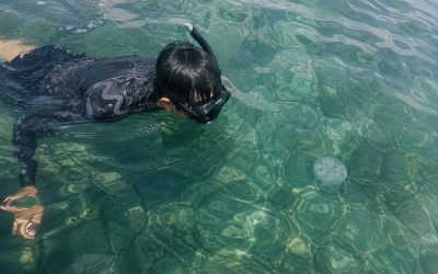 Musim Ubur-Ubur Pulau Tidung, Tips Mengantisipasi